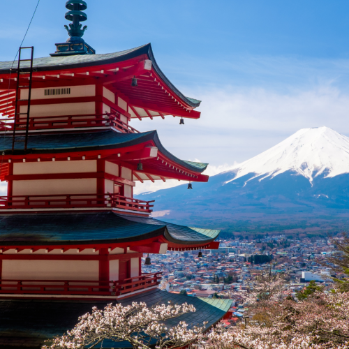Japan's immigration and labor